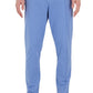 Pantalon de Jogging Homme Ref. 22EF 3005 Couleur Bleu 11,80€ HT/Unité